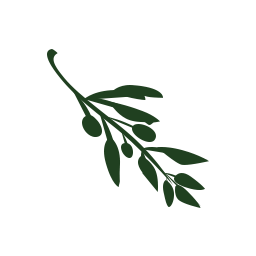 Olive Logo